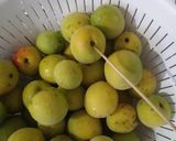 梅干し　昔ながらの味の強さ　簡単作り方1写真
