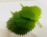 🥑アボカドと酒盗を和えて味付け海苔乗っけ作り方1写真