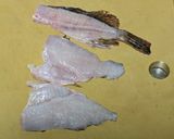 ベラとカサゴの刺身(昆布締め)作り方2写真