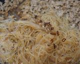 ピリ辛肉春雨作り方5写真