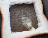 満足感UP↑超簡単🎵サンドウィッチ風🥪作り方2写真