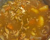 フルーティーカレー作り方9写真