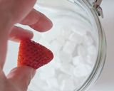 赤い果実のイチゴ酒作り方4写真