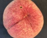 夏に食べたい🍑桃のカプレーゼ作り方2写真