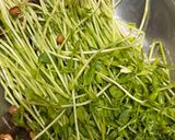 豆苗一袋🌱激安おいしい空芯菜風炒め作り方1写真