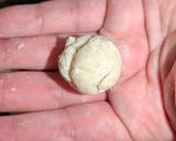 水餃子専用 完全無塩 餃子の皮作り方4写真