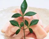 保存版　新生姜の甘酢漬け作り方5写真