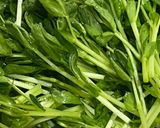 ポン酢味の常備菜！豆苗と大根のツナ炒め作り方3写真