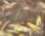 おでん活用☆だしたっぷりカレーうどん作り方4写真