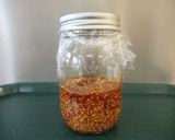 醤油こうじ作り方3写真