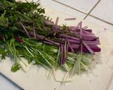 カラフル水菜×塩昆布 一夜漬け作り方1写真