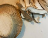 キノコと豆苗のごま油とマヨ醤油炒め🤎作り方1写真