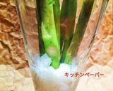 ♻️保存法｜アスパラ｜収穫後も伸びる？保湿作り方1写真