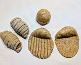 紅茶のウールロールパン作り方5写真