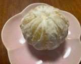 柑橘類の食べやすい剥き方作り方1写真