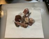 焼き方が決め手！津山ホルモンうどん作り方1写真