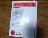 パパっと！フライパンで！手羽先の塩焼き作り方37写真