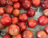 プラムで梅干し風作り方1写真