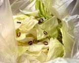 ハルピンキャベツ作り方1写真