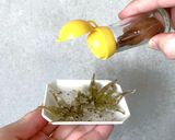 イロハモミジ塩作り方18写真