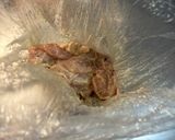 鶏肉と玉ねぎの柚子胡椒マヨネーズ焼き作り方1写真