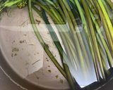 タンサン重曹でわらびのアク抜き！作り方4写真