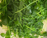 レンジで3分！豆苗とエノキの塩昆布和え作り方3写真
