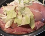 電気圧力鍋でキャベツ鶏胸肉のほろほろ煮作り方4写真