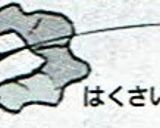 味つけ簡単！白菜鍋作り方3写真