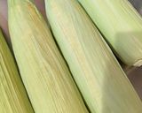 とうもろこしの茹で方作り方1写真
