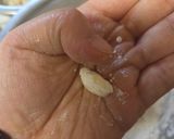 おから入り☆スタバ風スコーン作り方3写真