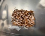 福島県のソウルフード！いかにんじんのお茶漬け作り方3写真