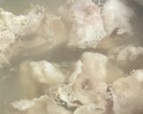 豚汁大好き🥣😋「はっち」の幸せすまし豚汁作り方5写真