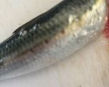 甘辛ダレが絶品！イワシの蒲焼き😋作り方1写真