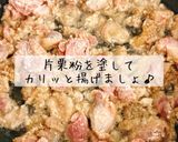 砂肝の銀皮からあげ作り方4写真
