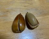どんぐりの殻と薄皮の剥き方　忘記録作り方6写真