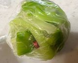 SDGs🥬キャベツの芯でスピード浅漬け作り方3写真