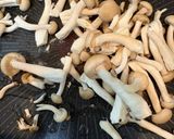 キャベツとツナコーンのバターコンソメ炒め作り方4写真