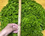 せいろで作るレタス巻き作り方1写真