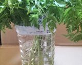 ♻️保存法｜シャク/コジャク🌿山菜大量の時作り方7写真