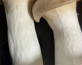 簡単　えのき豚肉の和風パスタ作り方1写真