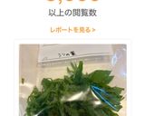 大葉 パラパラ冷凍 保存作り方3写真