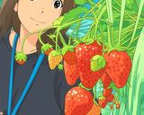 Belle mousse aux fraises et aux fleurs作り方4写真