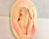 お惣菜パンの定番♡ハムチーズパン作り方8写真