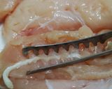 鶏もも鶏むね下処理＊骨付き鶏手羽先ぼんじり骨抜き作り方7写真