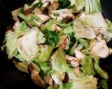 鶏むね肉とキャベツの炒め物作り方5写真