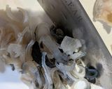 ふぐ皮の湯引き作り方4写真