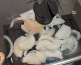 飴色玉ねぎのチキンクリームドリア作り方2写真