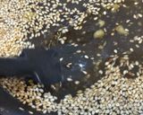 箸休めに⭐︎白菜の和風ザワークラウト作り方5写真