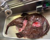 市場めし！アンコウカレー　栄養満点◎作り方1写真